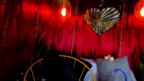 dark hunter  online show from February 2026 06:26:01 AM