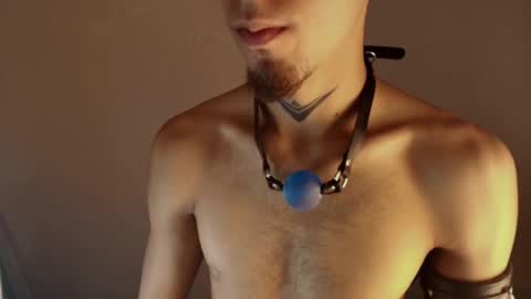 Snapshot of dark_rosse1 chatting on February 2026 11:08:02 PM rosse online show from February 2026 11:08:02 PM