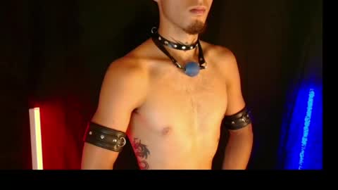 Snapshot of dark_rosse1 chatting on June 2026 03:31:01 AM rosse online show from June 2026 03:31:01 AM