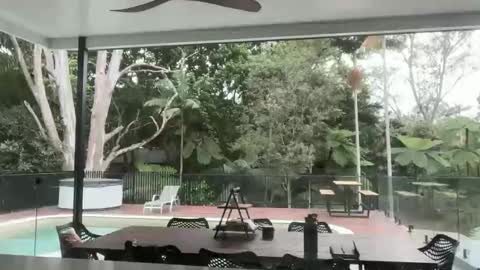 dartanian0001 online show from September 2025 08:55:02 PM