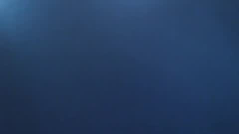 davdao3 online show from November 2025 09:11:01 AM