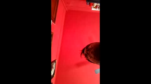 david_argentina online show from January 2026 06:35:02 PM