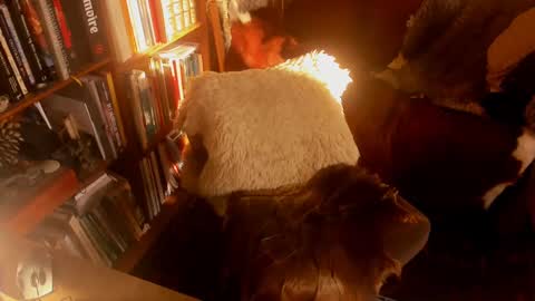 Snapshot of davidbo_no1 chatting on January 2025 11:10:02 AM David online show from January 2025 11:10:02 AM