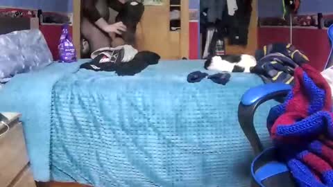 Hugo online show from January 2025 10:35:02 PM