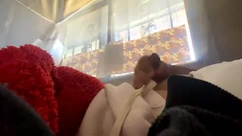 davzsoher online show from January 2025 03:19:01 PM