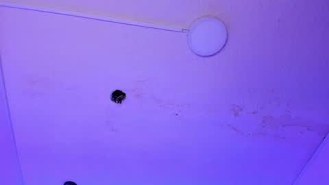 dayana_harlow2 online show from January 2025 10:13:02 PM