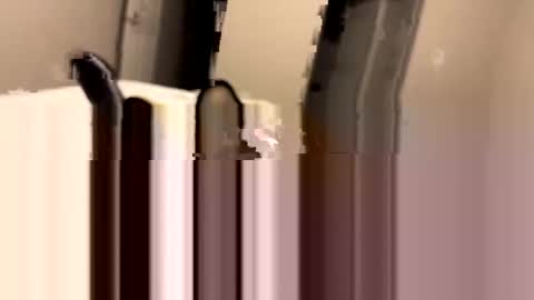 dbikes182 online show from January 2025 09:58:02 AM