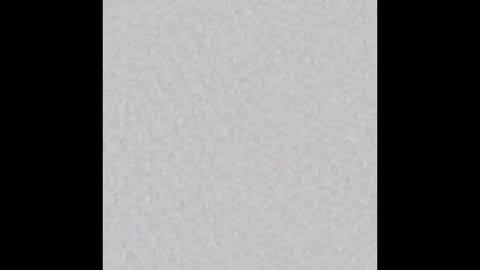 dxdawgty online show from February 2026 01:13:02 AM