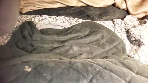 ddick0303 online show from March 2026 12:01:02 PM