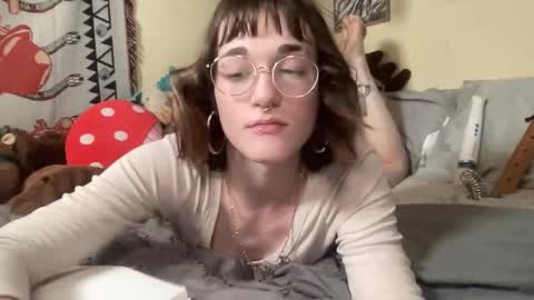 decemberholiday online show from February 2026 01:43:01 AM