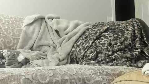 Snapshot of deeznutz343 chatting on February 2025 04:17:02 AM Deez Nutz online show from February 2025 04:17:02 AM