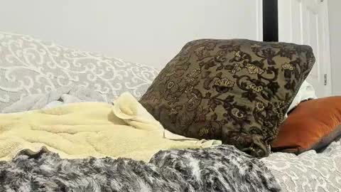 Snapshot of deeznutz343 chatting on February 2025 05:33:01 AM Deez Nutz online show from February 2025 05:33:01 AM