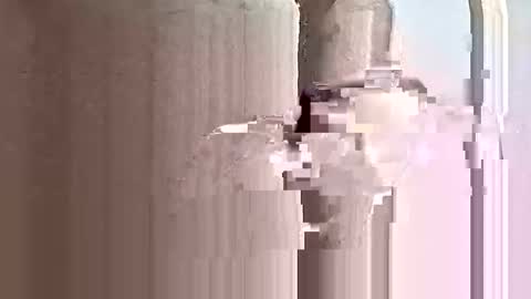 deezy305 online show from May 2026 04:14:01 PM