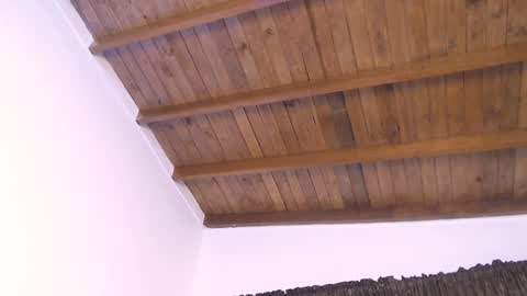 Snapshot of deivy_gram chatting on December 2024 10:58:01 PM DEIVY online show from December 2024 10:58:01 PM