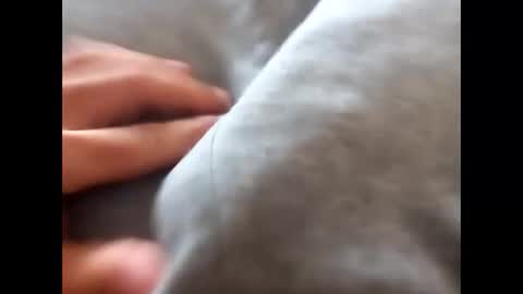 deliv_shopi online show from November 2025 01:50:01 PM