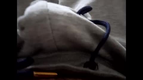 deliv_shopi online show from January 2026 03:05:01 PM