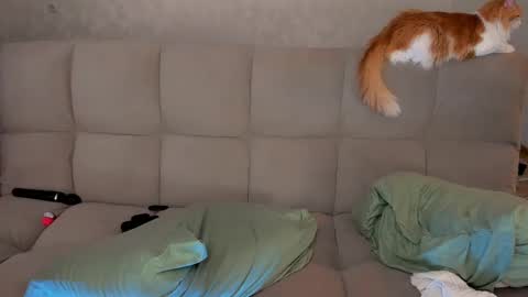 Victoria and Nara twitterinstagram dementra rawrr online show from March 2025 02:55:02 AM