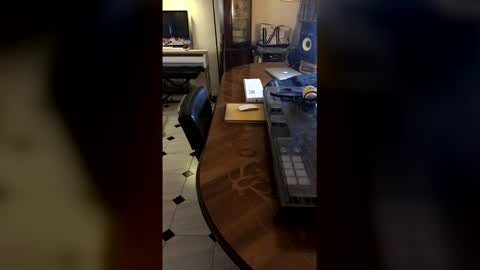 Demonomad online show from March 2026 08:57:02 PM