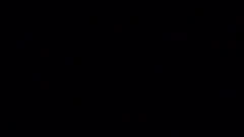 LilRoach online show from January 2025 02:32:01 PM