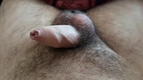 LilRoach online show from September 2025 12:05:02 PM