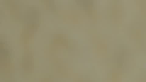 dennis munera online show from December 2024 03:30:01 PM