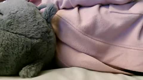 deroseblack online show from February 2025 06:20:01 AM