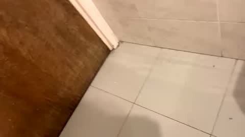 destrosandotelculo online show from November 2025 08:45:01 AM