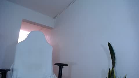 MaSSimo online show from January 2025 03:00:02 PM