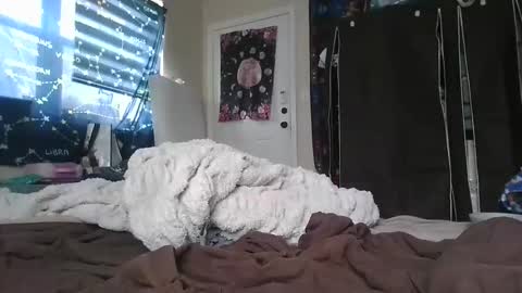 dickemda online show from May 2026 02:47:01 PM