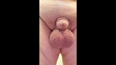 Snapshot of dickforfun300 chatting on May 2026 02:44:01 PM Dickforfun300 online show from May 2026 02:44:01 PM