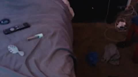 Sparkx online show from December 2024 07:10:01 AM