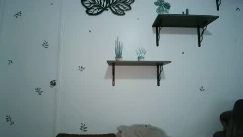 dickslayerdan online show from January 2025 08:21:01 PM