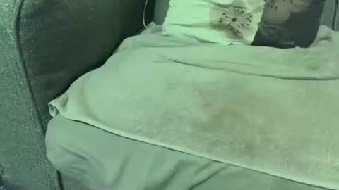 dickwack4u online show from January 2026 02:24:01 AM