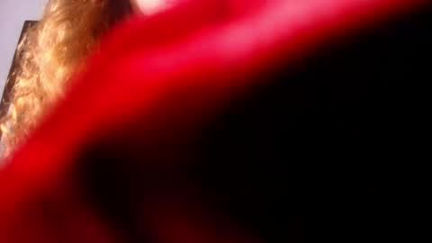 Diane online show from February 2025 07:16:01 PM