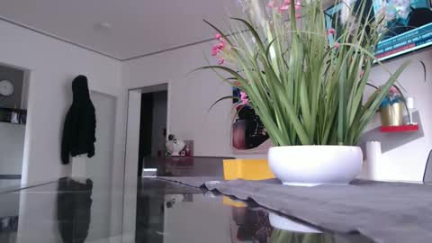 squirtcock online show from February 2026 12:48:02 PM