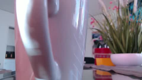 squirtcock online show from March 2026 11:49:01 AM