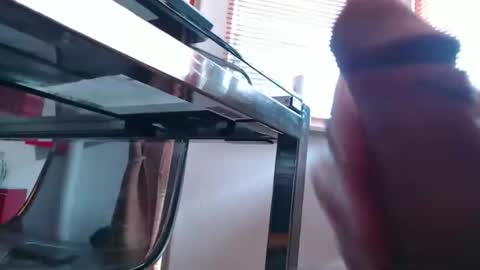 squirtcock online show from March 2026 08:29:01 AM