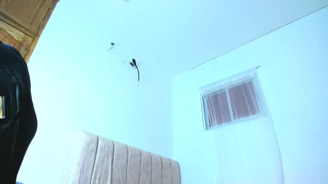 Diego online show from October 2025 12:59:01 PM