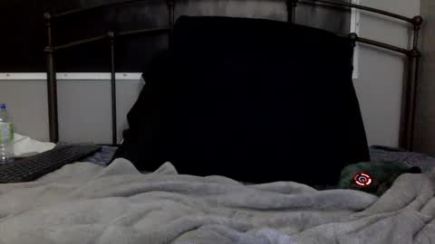 digbicknik online show from February 2025 12:47:02 PM