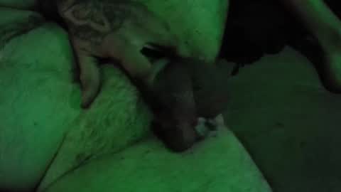 dikkdixon online show from February 2026 03:57:01 PM