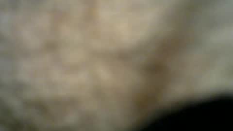 Snapshot of dilaradagci chatting on July 2026 11:22:02 PM Bob online show from July 2026 11:22:02 PM