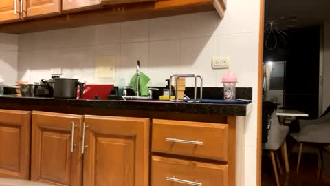 dilfofthenextdoor42 online show from March 2025 02:36:01 AM