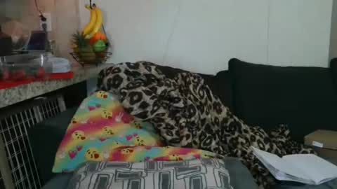 Sofie online show from November 2025 05:35:02 PM