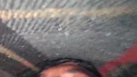 dyno online show from December 2025 07:42:02 PM