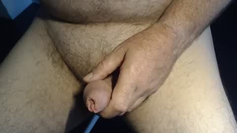 dinu9 online show from July 2026 04:39:01 AM
