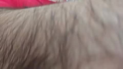 dios891 online show from April 2026 01:03:02 PM