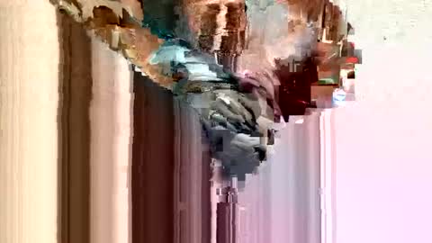 dirtmcgirt82 online show from February 2025 05:26:02 AM