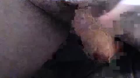 Snapshot of dirtyadventurer chatting on January 2025 06:41:02 PM dirtyadventurer online show from January 2025 06:41:02 PM