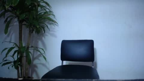 whats app - stagram marian doll online show from February 2025 01:53:02 AM