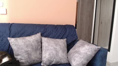 Hera online show from April 2026 12:38:01 PM